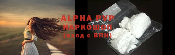 крисы Белокуриха