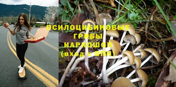 крисы Белокуриха