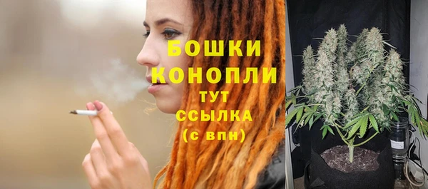 крисы Белокуриха