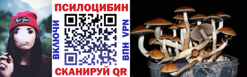 Галлюциногенные грибы мухоморы  Тбилисская 